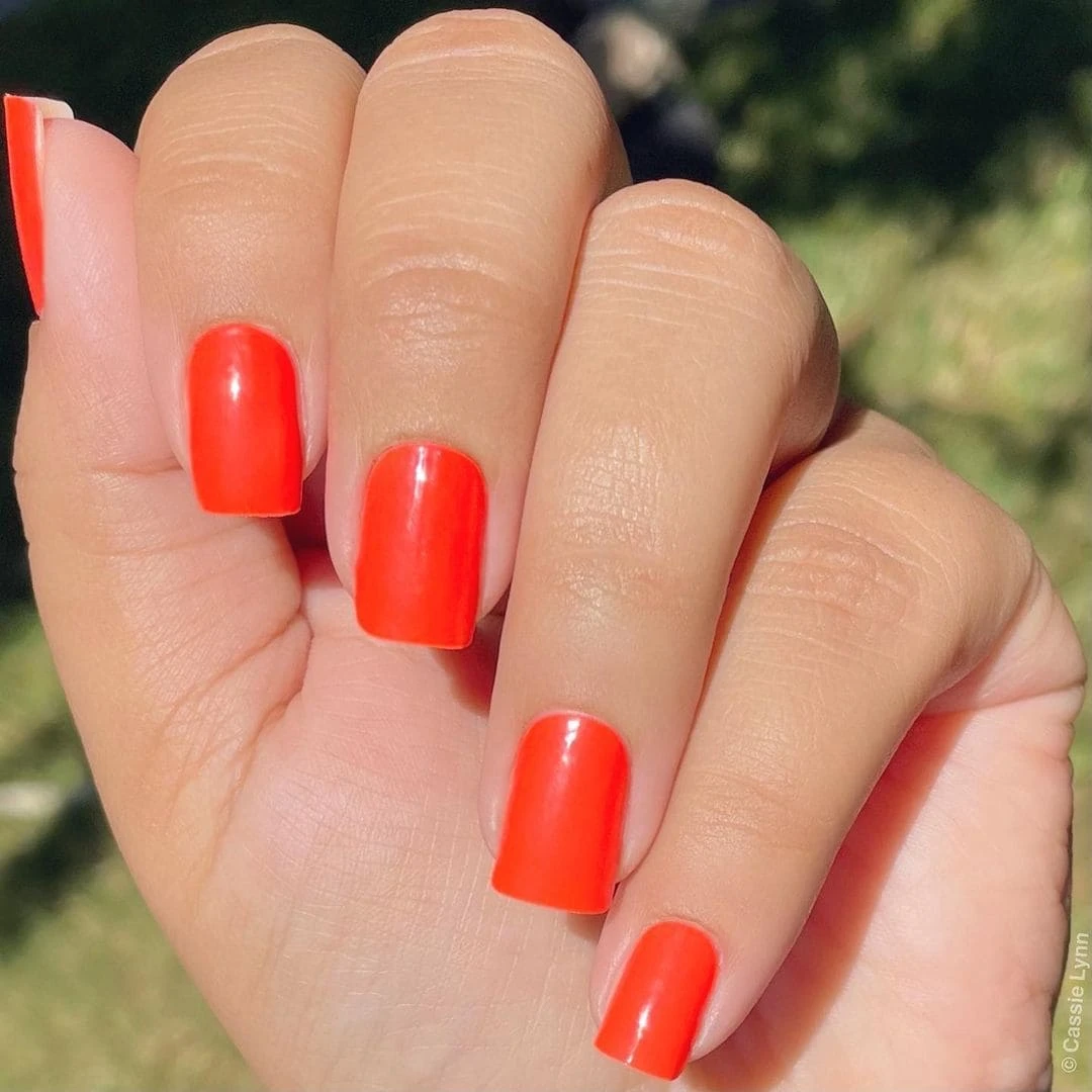 Flaming Orange 4 Flaming Orange - Image 2