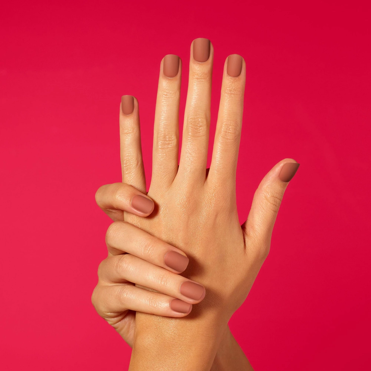 Ginger Snap 4 Ginger Snap - Image 2