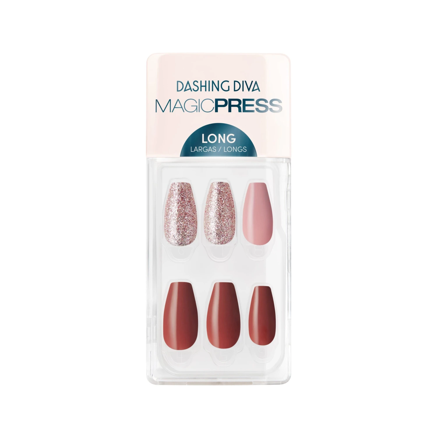 Begonia Beauty 3 Begonia Beauty