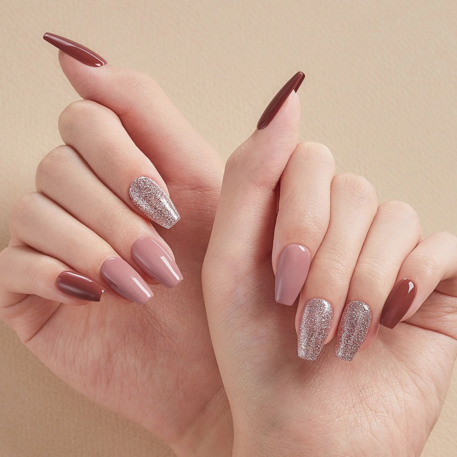 Begonia Beauty 4 Begonia Beauty - Image 2