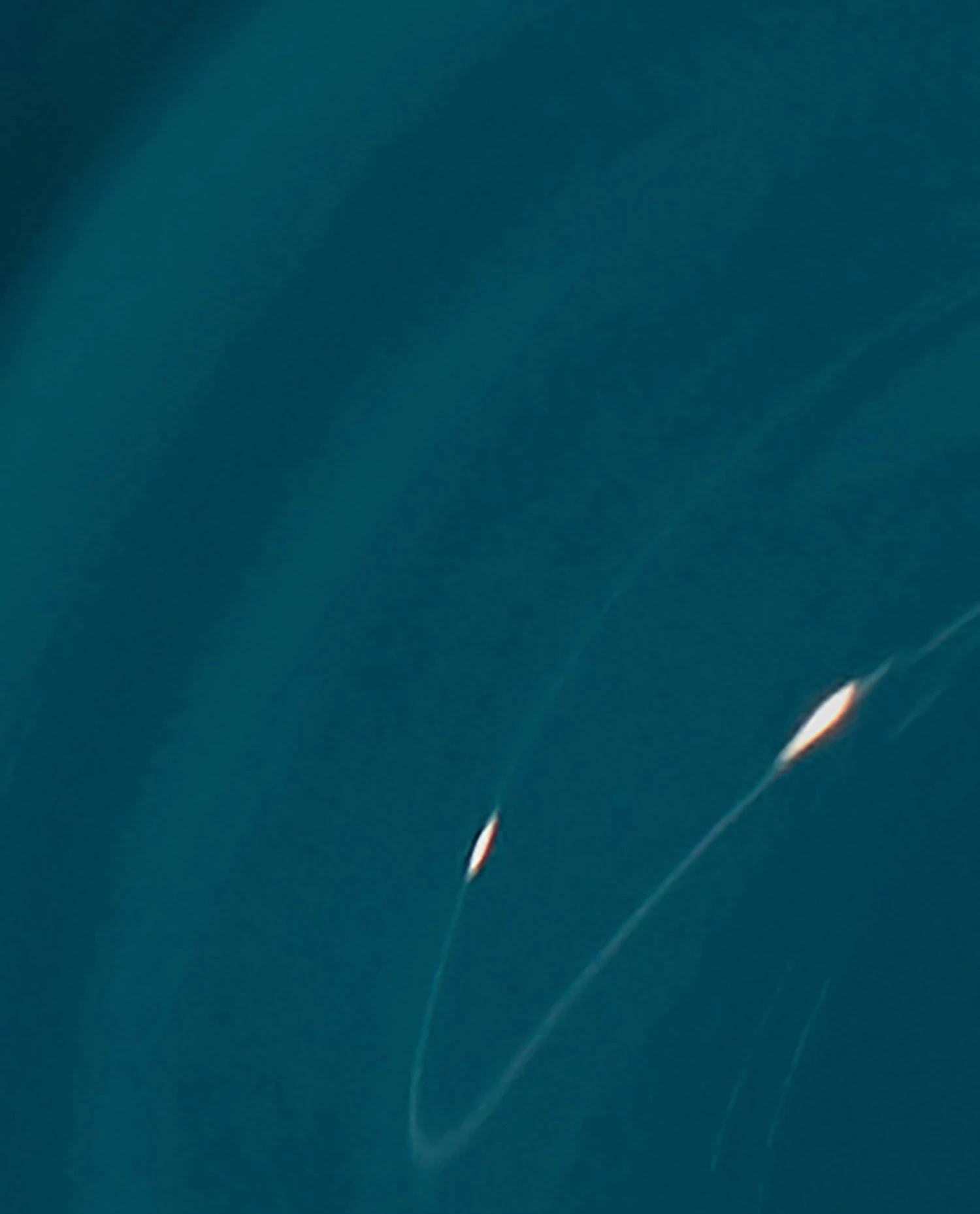 Gel Nail Polish Drama At La Scala 5 Gel Nail Polish Drama At La Scala - Image 3