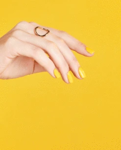 Gel Nail Polish Exotic Birds Do Not Tweet -Nail Polish Store exotic birds do not tweet gif f8a83aac 10fd 437d b9b4 38df0c45f9ec