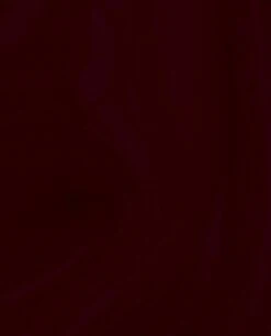 Nail Lacquer In The Cable Car-Pool Lane -Nail Polish Store in the cable carpool lane brush swatch e8666c25 62e8 46b6 bb20 7ac11309a9b5