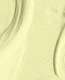 Dipping Powder Clear Your Cash -Nail Polish Store sp23 clear my cash powder swatch 2000x2477 5978020a 30fb 4bb6 869f a3195b74a18a